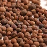 Guayabita a Granel 50gr